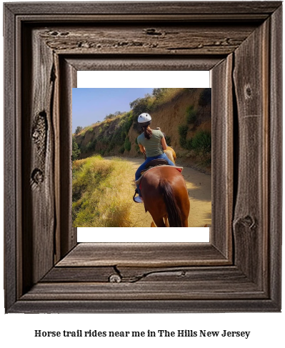 horse trail rides near me in The Hills, New Jersey